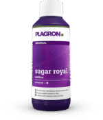 100ml sugar royal.png
