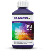 250ml green sensation.png