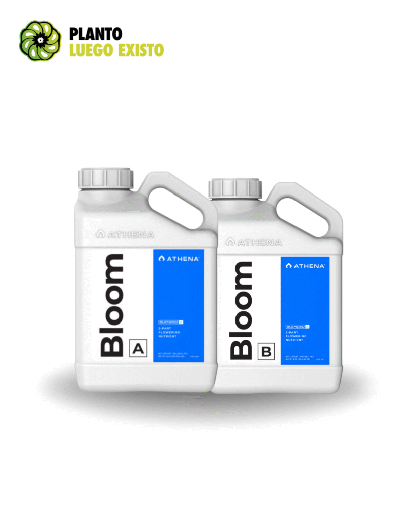 500ml 3.png