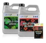 616983 mla43555388534 092020.jpg