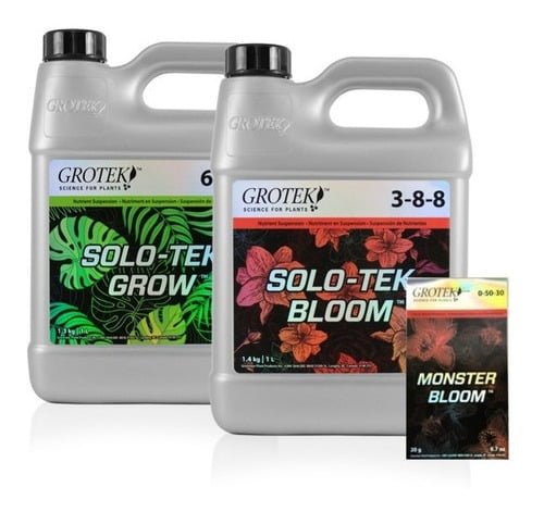 616983 mla43555388534 092020.jpg