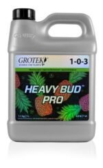 627370 mla43555395268 092020.jpg