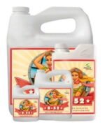 634291 mla43555283085 092020.jpg