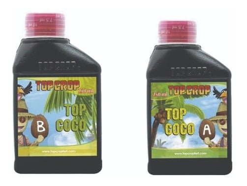 638500 mla43556275680 092020.jpg