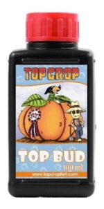 646386 mla43556253092 092020.jpg