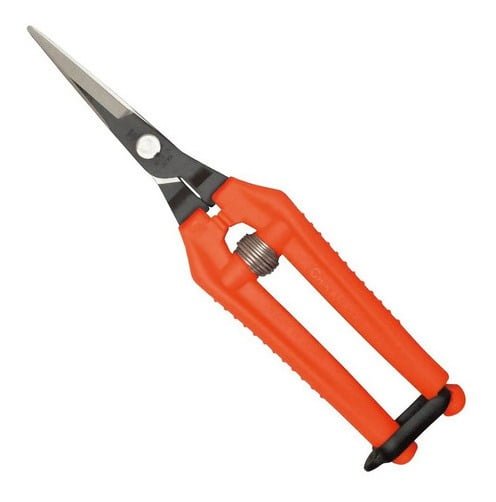 649066 mla43555970022 092020.jpg