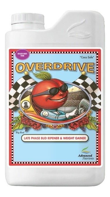 686909 mla40184448214 122019.jpg