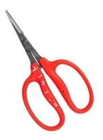 717820 mla43556027865 092020.jpg