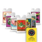 729075 mla27122611897 042018.jpg