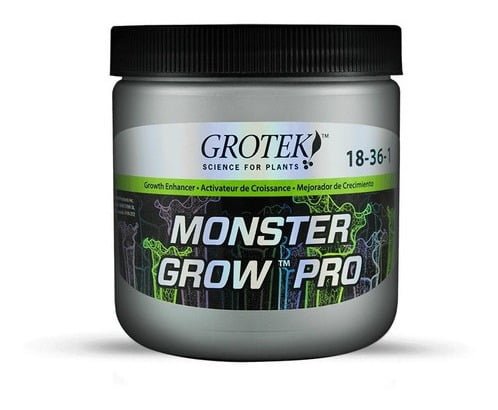 788799 mla43557389519 092020.jpg