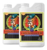 811333 mla43555963799 092020.jpg