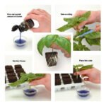 917266 mla33051828012 112019.jpg