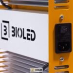 920924 mla42408634005 062020.jpg