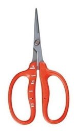 950530 mla43556027862 092020.jpg