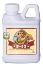 957773 mla43555283084 092020.jpg