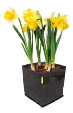 997993 mla40584391917 012020.jpg