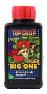 998857 mla43557848963 092020.jpg