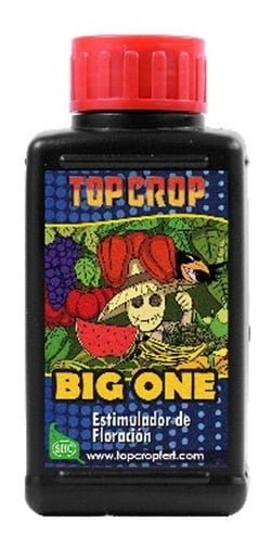 998857 mla43557848963 092020.jpg