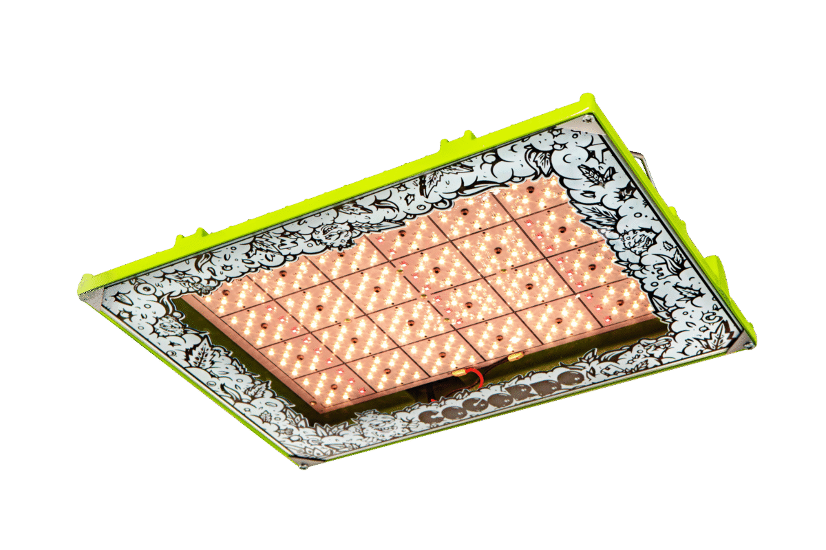 Copia de copia de p1000 mg 1280 f 1 scaled 1.png