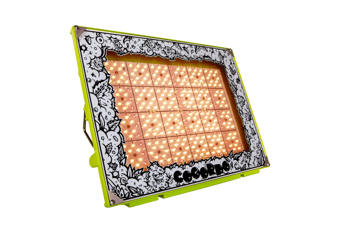 Copia de p1000 mg 0075 1 scaled 1.png