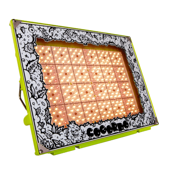 Copia de p1000 mg 0075 1 scaled 1.png