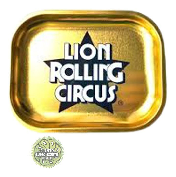 D 612171 mla48432666993 122021 f.jpg