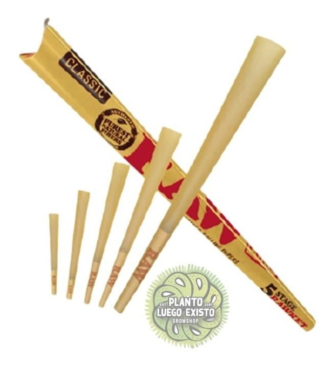 D 625767 mla48504657863 122021 f.jpg