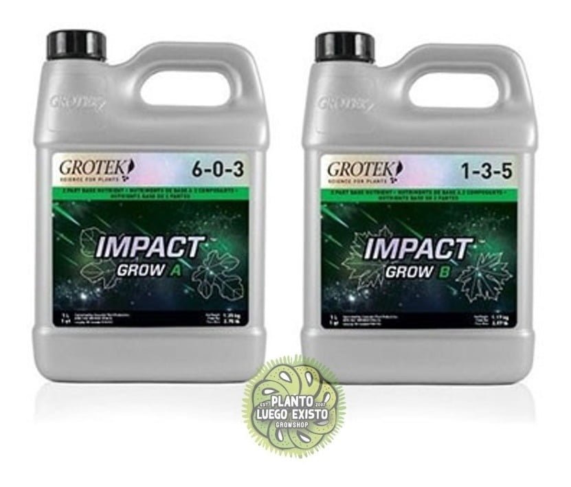 D 774233 mla48065267038 102021 f.jpg