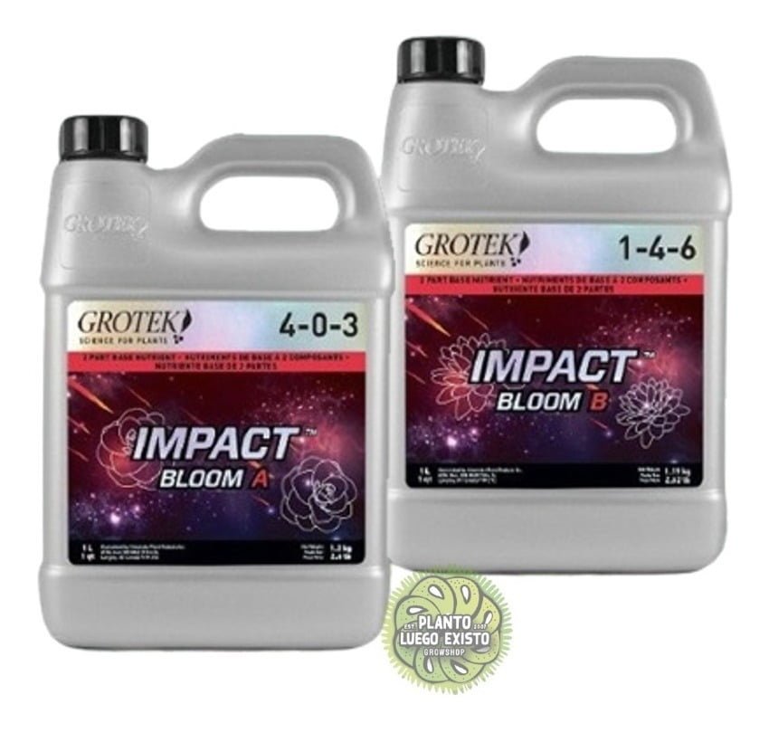 D 787618 mla48064911945 102021 f.jpg