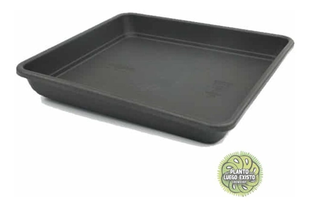 D 817267 mla47888674843 102021 f.jpg