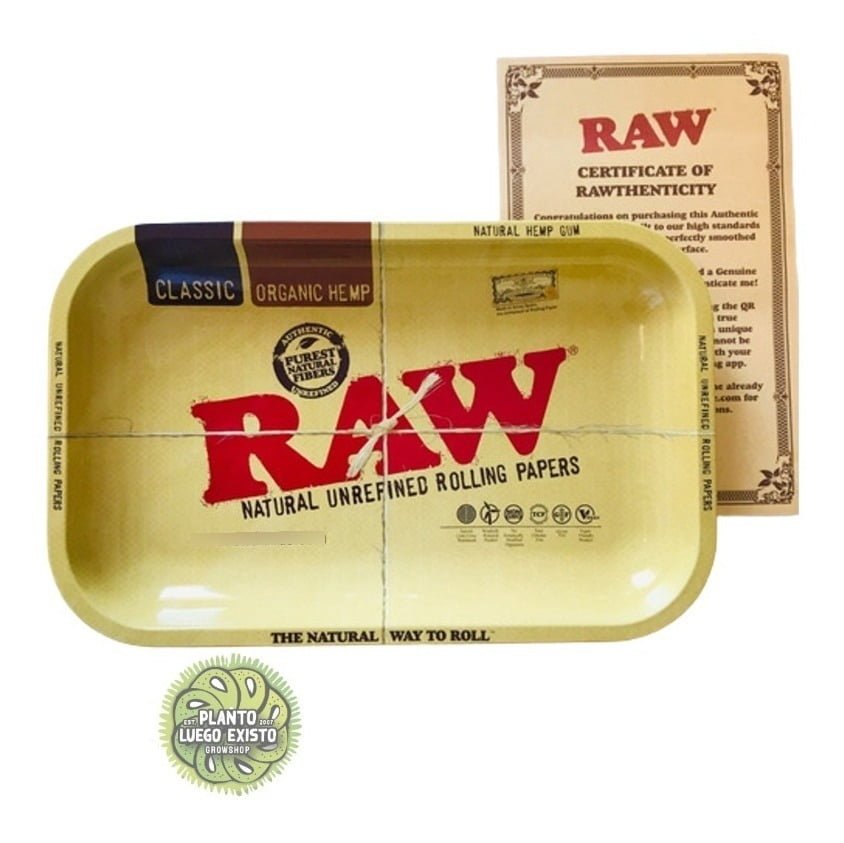 D 863545 mla48456484487 122021 f.jpg