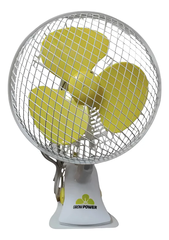 D_NQ_NP_2X_699497-MLA90748207737_082025-F D nq np 2x 699497 mla90748207737 082025 f