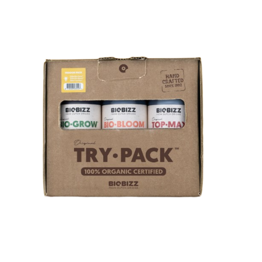 Diseño sin título (7)