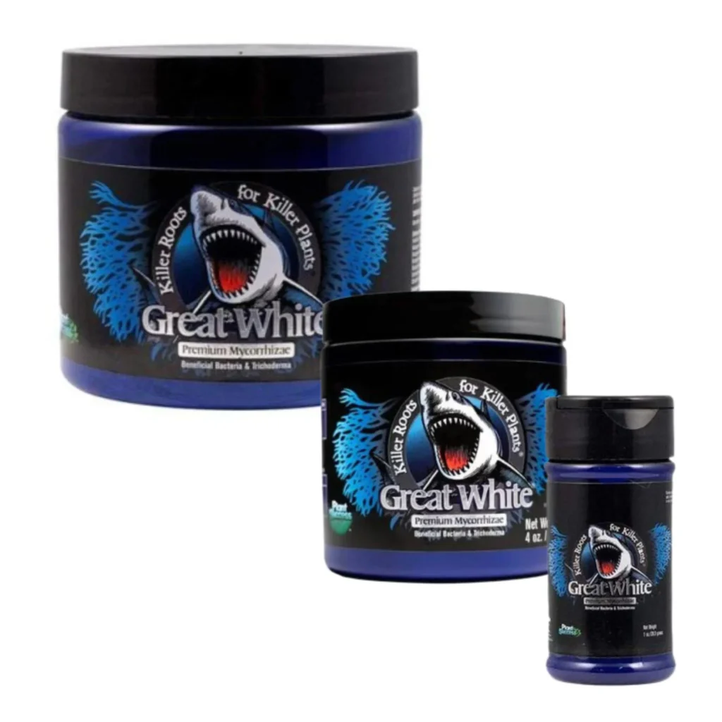 Great white mycor group.webp