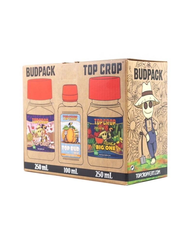 Friendly url autogeneration failed.jpg