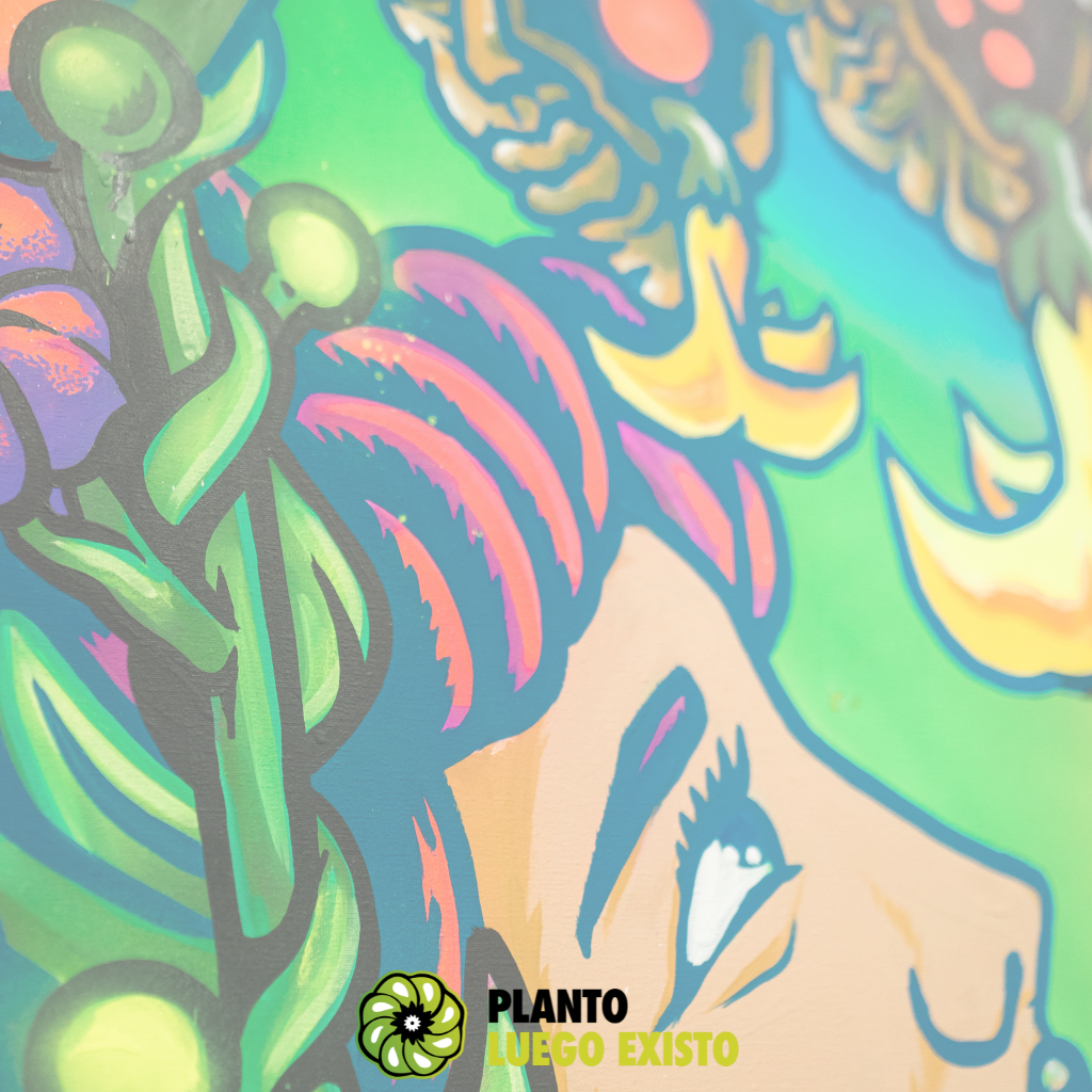 Historia para instagrm promoción tarjetas 18 cuotas sin interés minimalista rosa (1024 x 1024 px) (5)