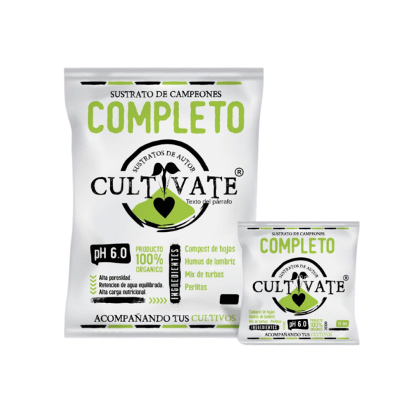 Texto del párrafo (1024 x 1024 px)