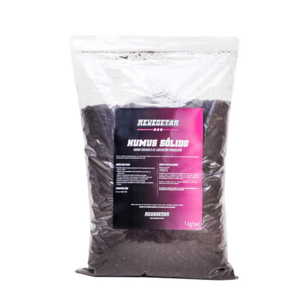 Diseño sin título (12)