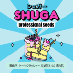 Semillas Cake Crasher Shuga Seeds x3 – Wedding Cake × Wedding Crasher