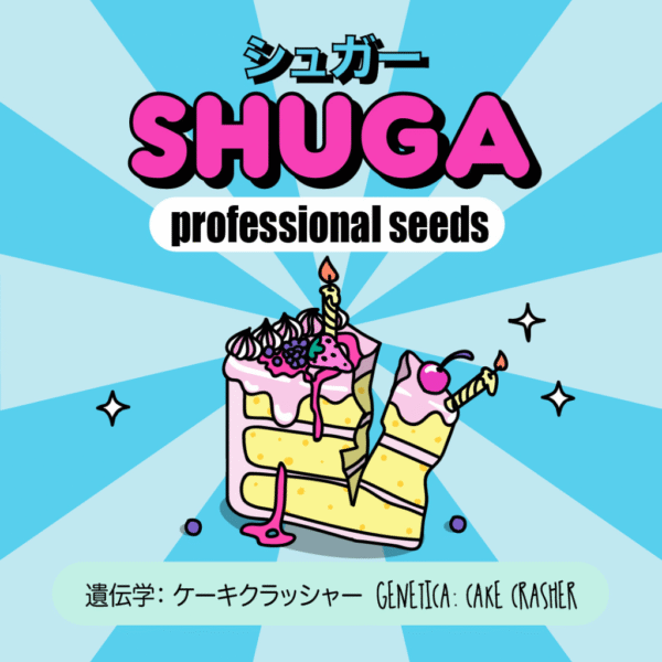 Semillas Cake Crasher Shuga Seeds x3 – Wedding Cake × Wedding Crasher