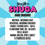 Semillas Cake Crasher Shuga Seeds x3 – Wedding Cake × Wedding Crasher - Image 2