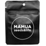 Semillas Phantom Ice Mamua Seeds x4 – Phantom Cookies × Jamaican Ice (INASE · REPROCANN)